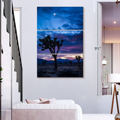 Masam Joshua Tree Park la nuit