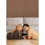 Papier peint adhésif Daphne Limewash Mocha-122026960