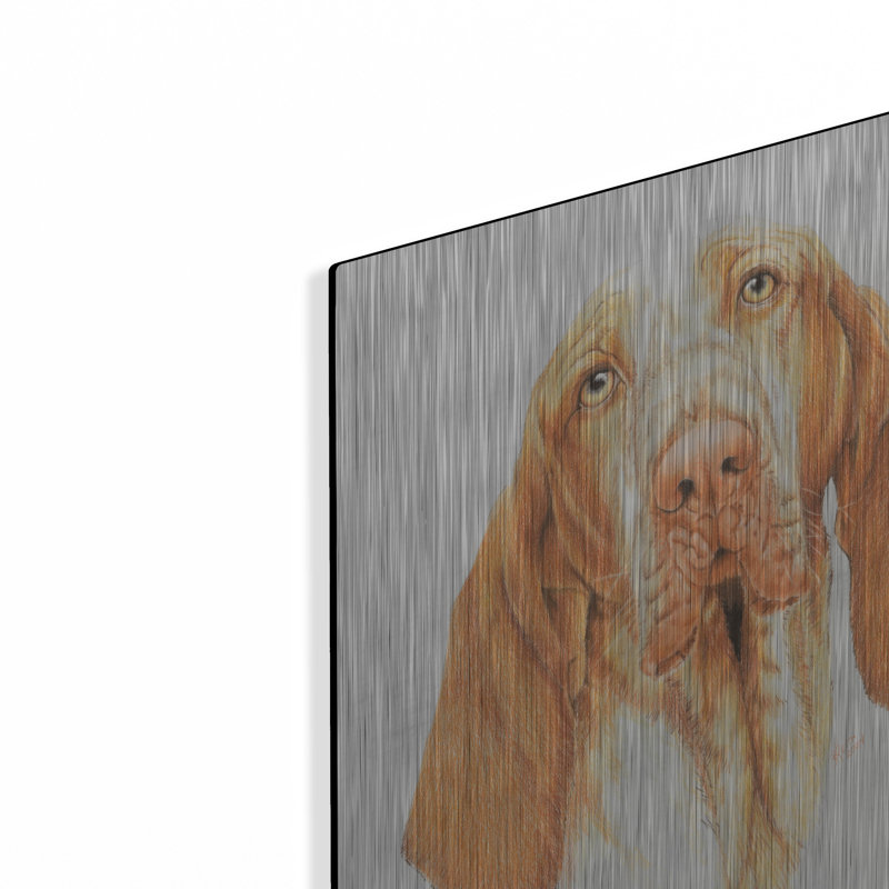 "Braceo" par Barbara Keith, H 24 po x l 16 po