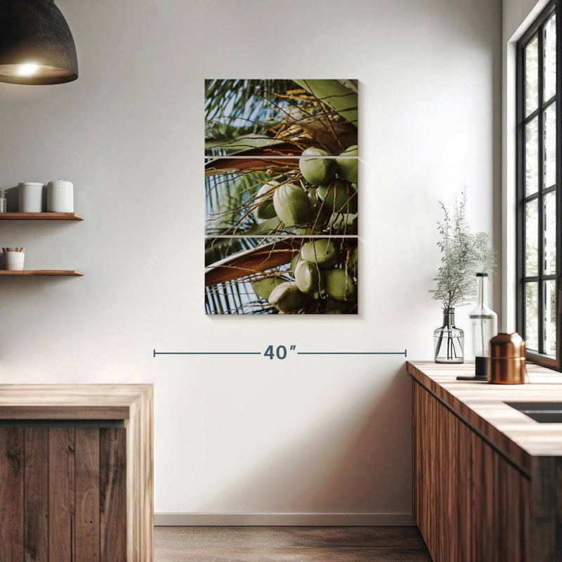Harnek Fresh Coconuts, 38" H x 24" W