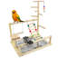 17,3 oiseaux