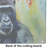 Gorilla Glass Cutting Board Large