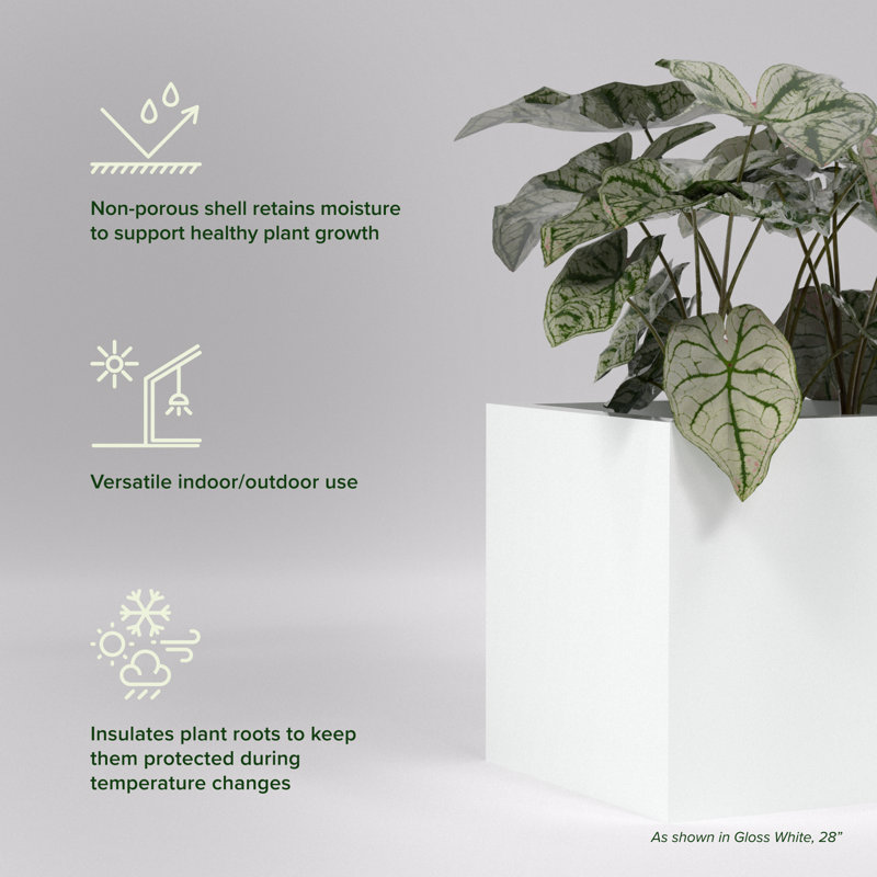 Greenline Fiberglass Jack Medium Indoor/Outdoor Square Cube Planter, 36" H x 36" W x 36" D, Gloss White