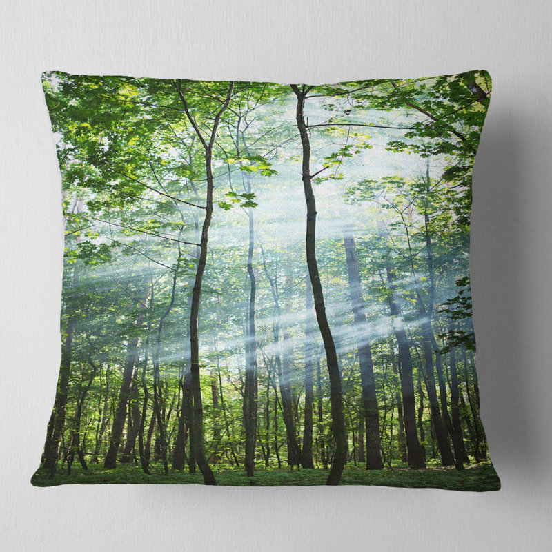 Coussin Schafer, Coussin décoratif, 16 po x 1 po