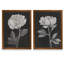 «Black and White Flowers III», ensemble de 2 reproductions d'art encadrées-1201688119-1201688076-1201688079
