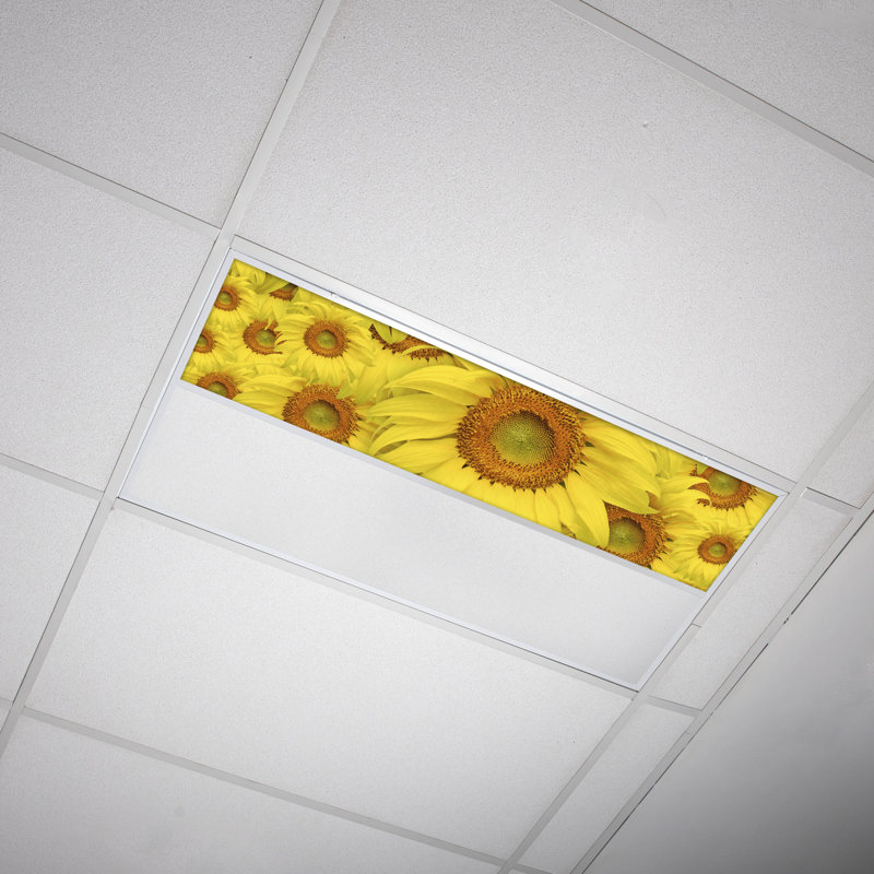 Flower Rectangle Fixture Component Ceiling Light
