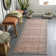 Addilyn Oriental Machine Woven Area Rug