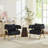 Modern Barrel Accent Chairs(Set Of 2)-24453008
