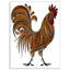 Feu de coq - impression sur toile tendue-29496920
