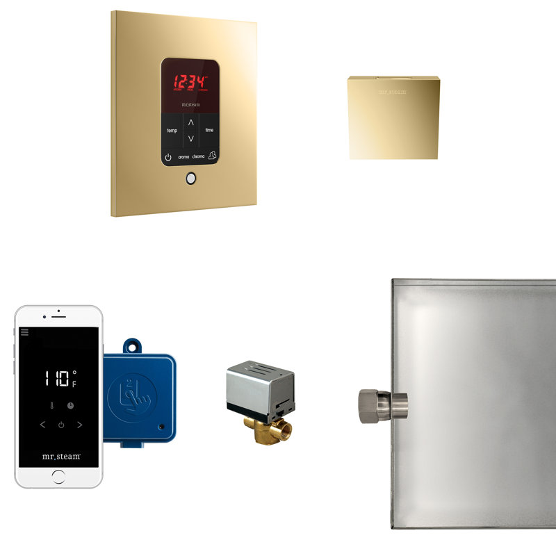 Residential Steam Generator Control, Polished Brass