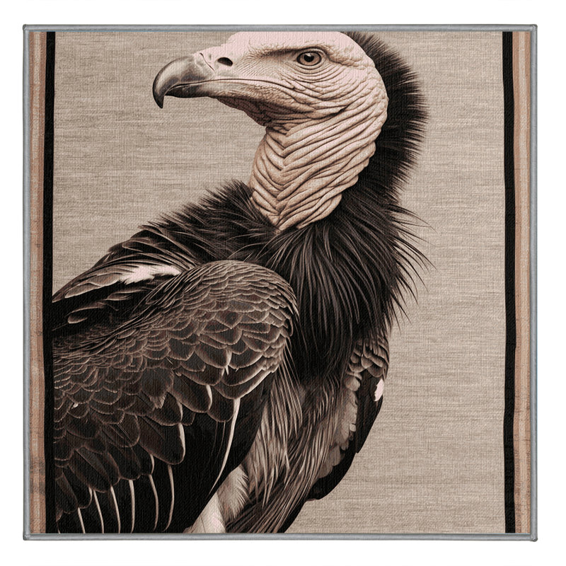 Washable Lappet faced Vulture Wildlife Area Rug, Square 3'