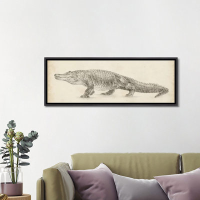 " Alligator Sketch " by Ethan Harper