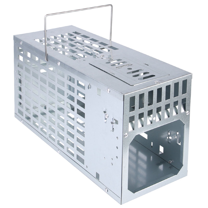Humane Live Mouse Trap