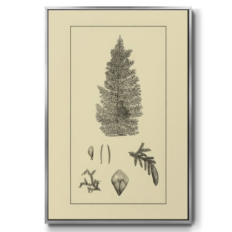 Arbor Study I, Argent, H 41 po x l 27 po x P 1,5 po