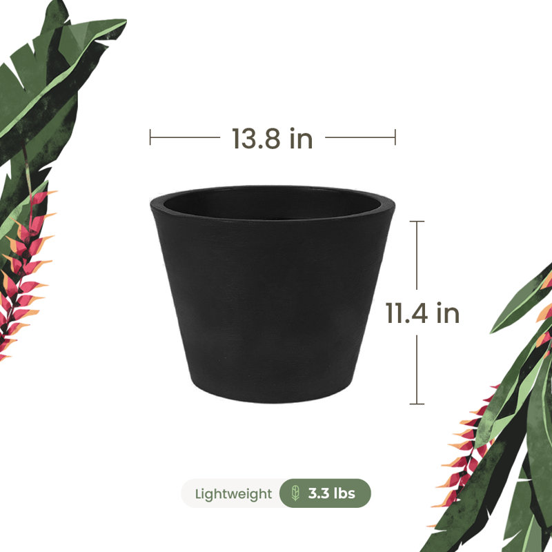 Ebern Designs Eco-friendly Round Pot Planter, Cozumel. Indoor/outdoor Use, Four Season Use, Black