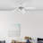 52'' Ceiling Fan with LED Lights-72164546