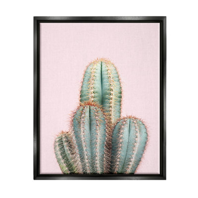 Zayyan Blush Cactus par Sissi et Seb