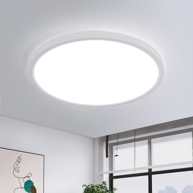 Azhani 30cm Waterproof LED Flush Mount Ceiling Light, White