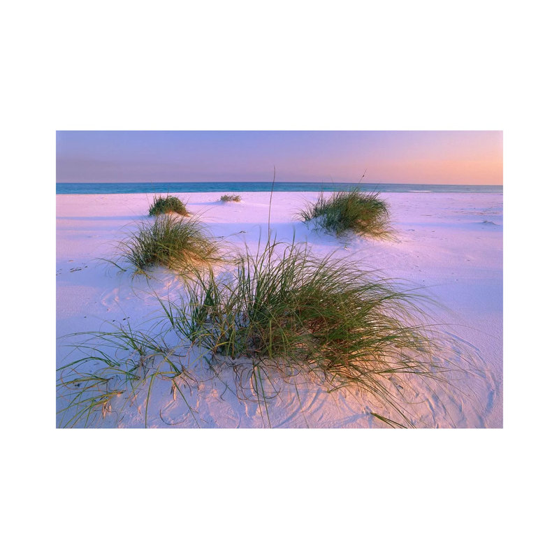 Sea Oats Growing on Beach, Santa Rosa Island, Gulf Islands National Seashore, Florida 1 Piece Wrapped Canvas Wall Art