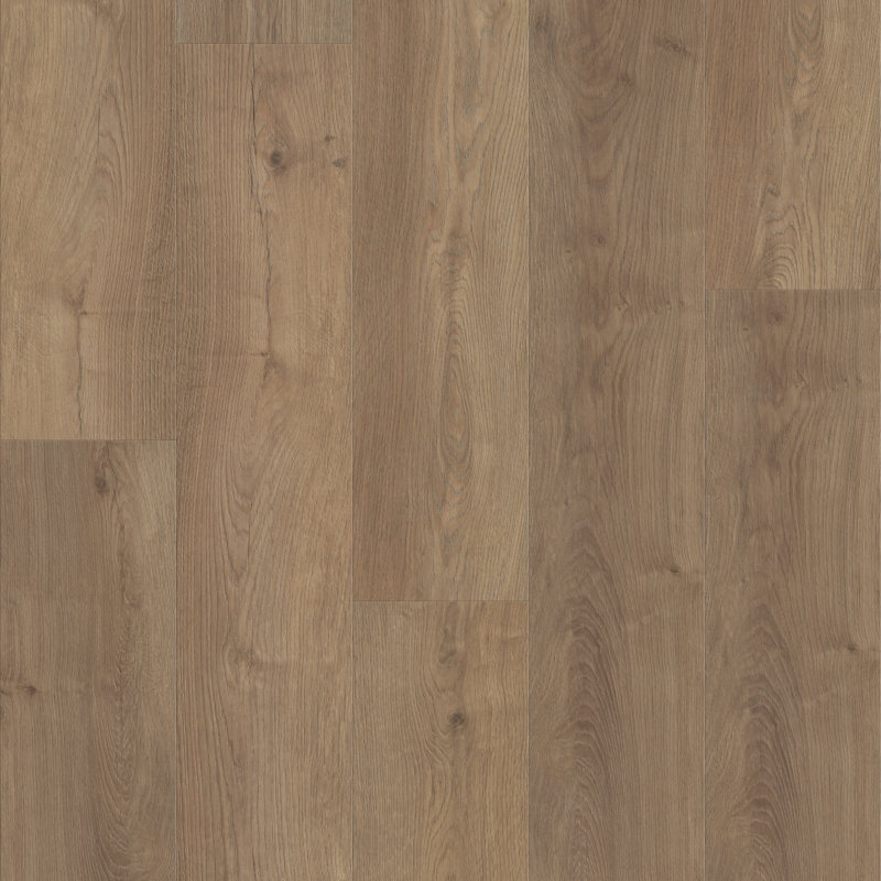 Plancher en vinyle de luxe l 9 po x L 60 po x Shaw 6,5 mm Shaw Robin, Giovana