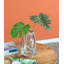 Tige de feuille Monstera