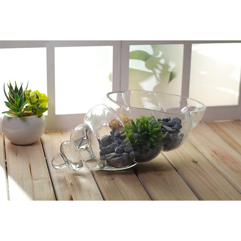 Hosley Glass Shell Vase 8 Inches Long Ideal Gift for Weddings Spa Aromatherapy Floral Arrangements Bowl for Orbs DIY Craft Projects LED Votive Candle Gardens O9