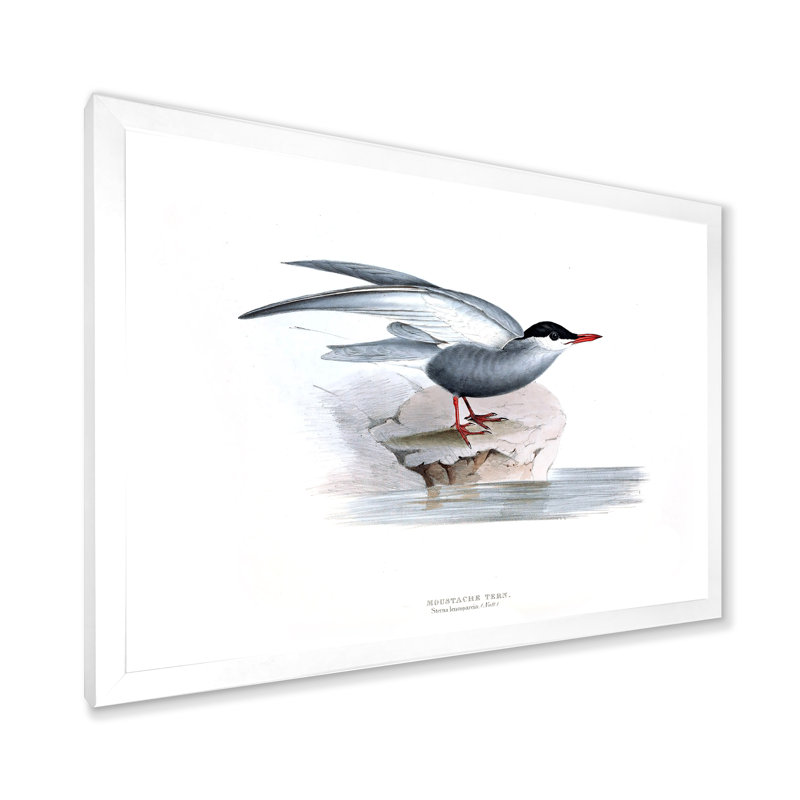 Oiseau rétro de l'Europe I - peinture sur toile, H 30 po x l 40 po x 1,5 po, Cadre photo blanc