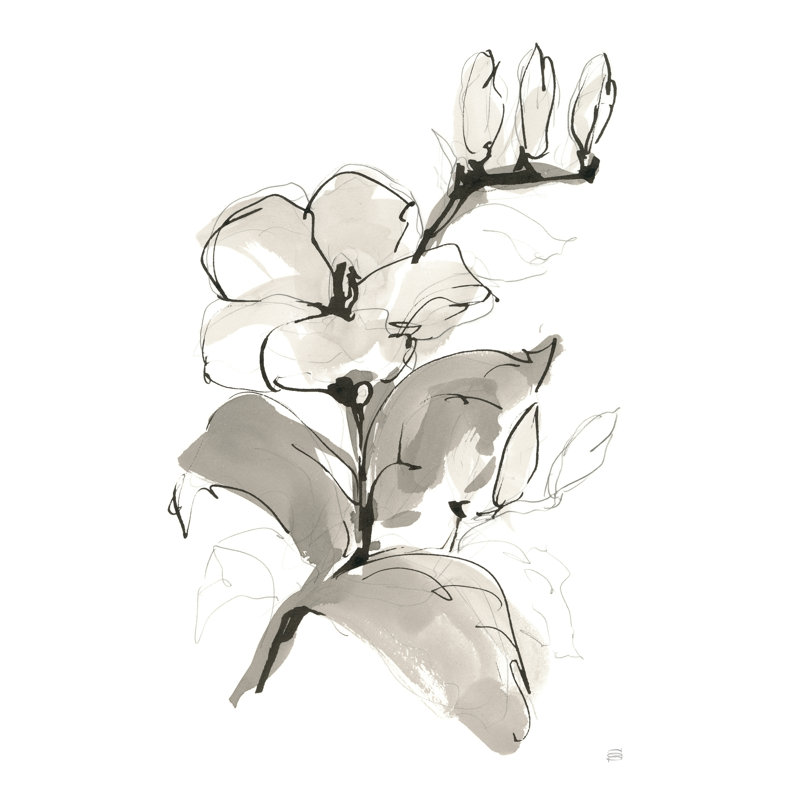 Magnolia II, H 30 po x l 20 po