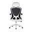 Kjeld Mesh Office Chair with Headrest-317871049