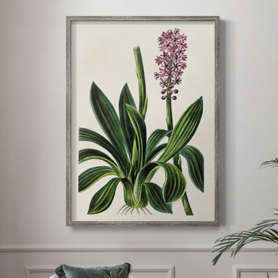 AntiqueFloralFolio II, reproduction encadrée - bois massif 2768837