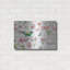 «Dogwood Garden I» par Lisa Audit-1153767558