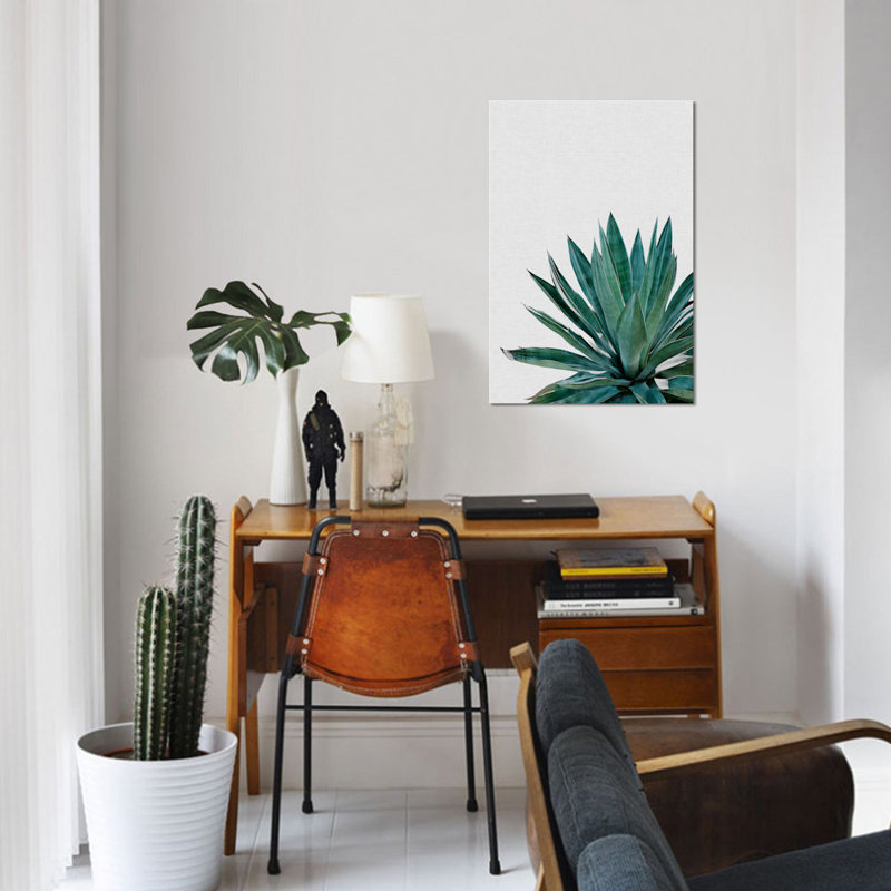 «Agave Cactus» par Orara Studio, impression sur toile tendue, H 26 po x l 18 po x p 1,5 po