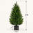 2-Pack 3FT UV-Resistant Artificial Cedar Topiary Trees