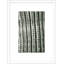 Silver Spike Small 5 Framed Photographic Print