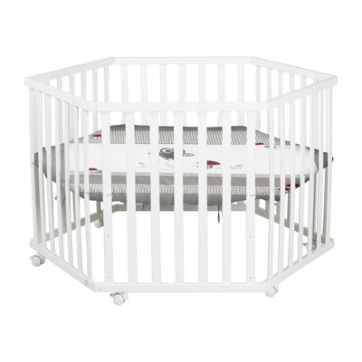 6-Sided Playpen