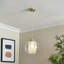 1 - Light Brushed Satin Gold Paint Pendant