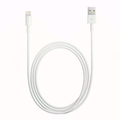 iPhone Data Cable