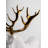 Deer (White-Copper)