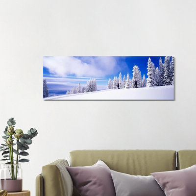 Steamboat Springs, Colorado, USA - Wrapped Canvas Panoramic Print