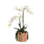 Orchid Faux Floral