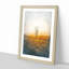 Summer Tree - Framed Print-56920905-56920907