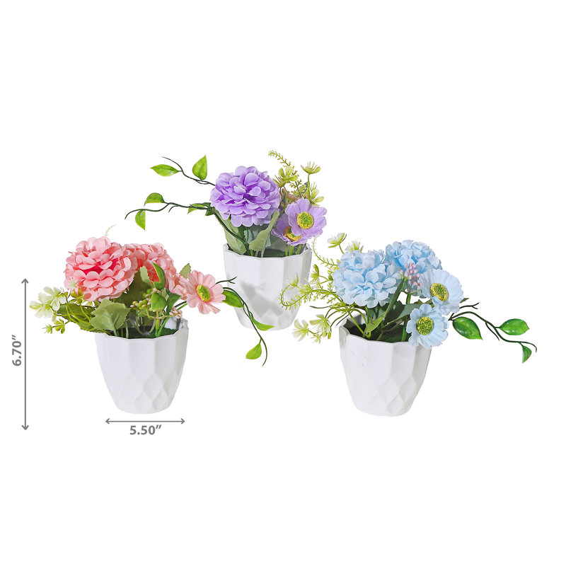 Arrangement floral d'œillets en pot
