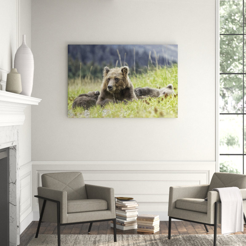 Nap Time Print by Wink Gaines, 40" H x 60" W
