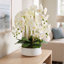 Arrangement d'orchidées Joellen