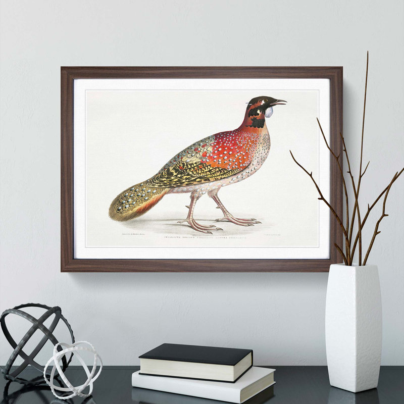 Pennant's Horned Pheasant by John Edward Gray - Picture Frame Painting Print, 27cm H x 36cm W x 2cm D, Walnut Framed