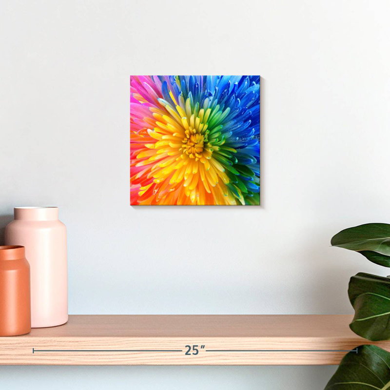 Chrysanthème Harnek, H 10 po x l 10 po