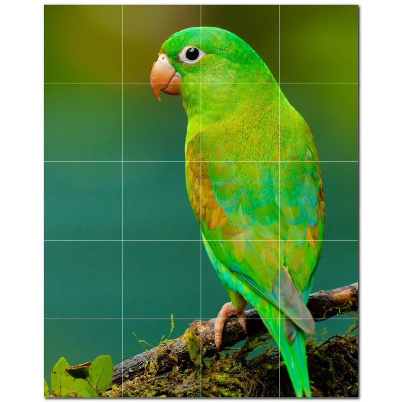 8'' x 8'' Satin Ceramic Decorative Mural