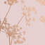 Anthriscus Floral Metallic Wallpaper Roll-1163600722