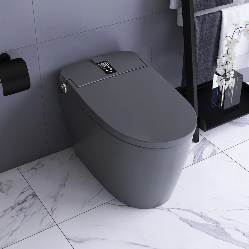 Smart Toilet With Side Control Knob, Gray