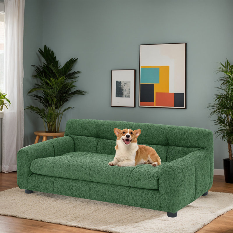 Canapé pour animaux de compagnie , Vert